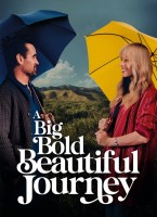 Voir A Big Bold Beautiful Journey en streaming et VOD